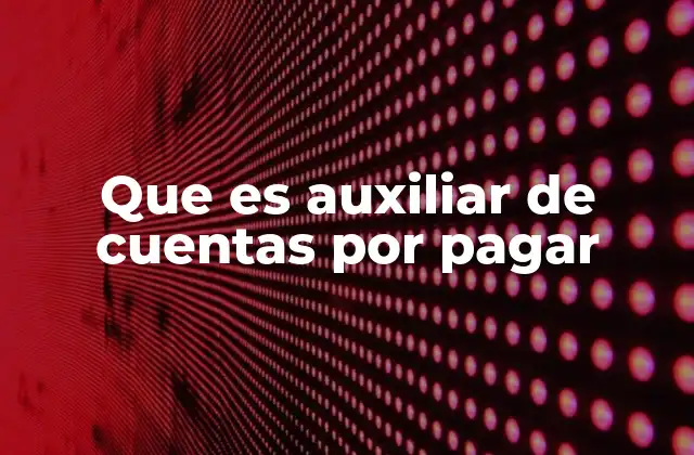 Que es Auxiliar de Cuentas por Pagar