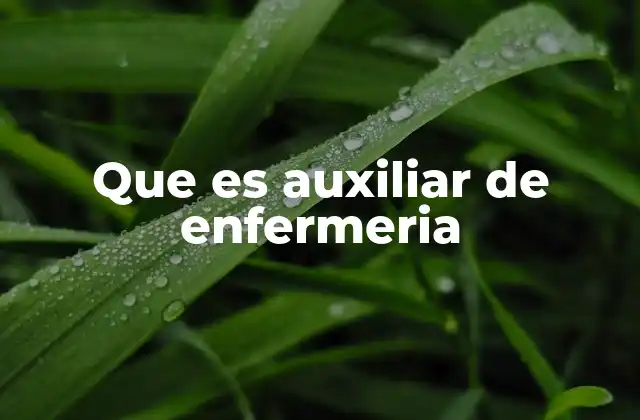 Que es Auxiliar de Enfermeria