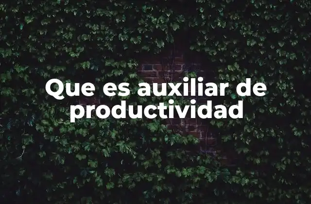 Que es Auxiliar de Productividad