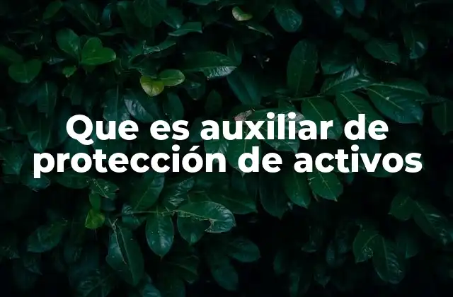 Que es Auxiliar de Protección de Activos