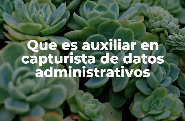 Que es Auxiliar en Capturista de Datos Administrativos