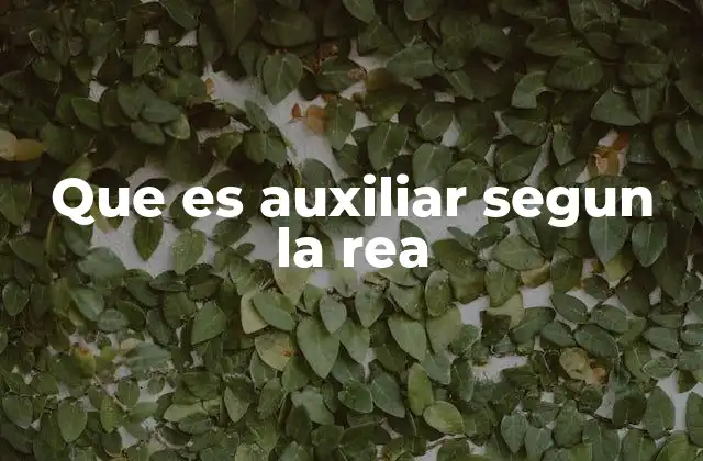 El rol del auxiliar en diferentes contextos profesionales