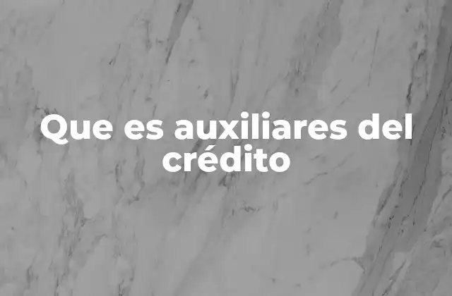 El apoyo esencial en el proceso crediticio