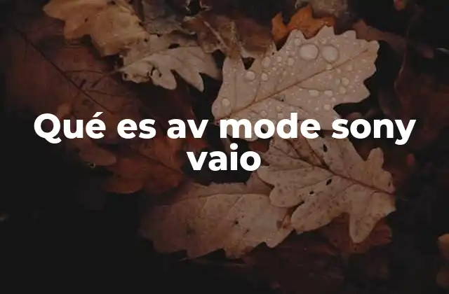 Qué es Av Mode Sony Vaio