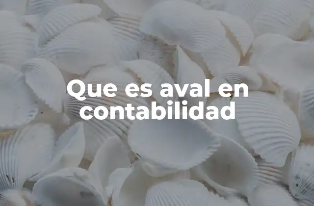 Que es Aval en Contabilidad