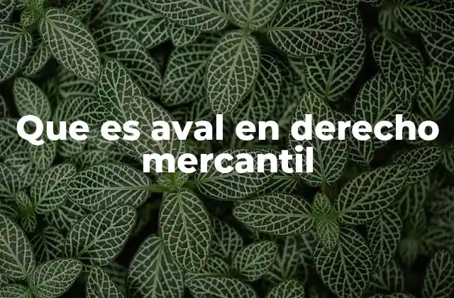 Que es Aval en Derecho Mercantil