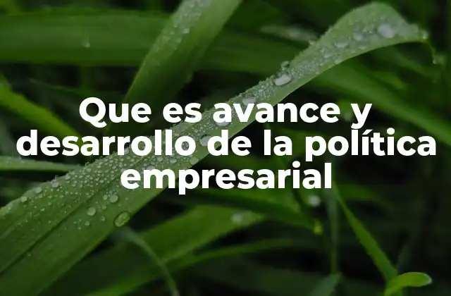Que es Avance y Desarrollo de la Política Empresarial