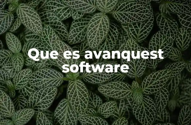 Que es Avanquest Software