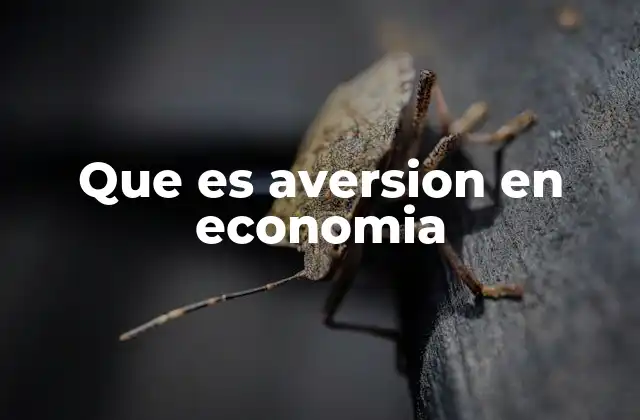 Que es Aversion en Economia 2 El papel de la aversión en la toma de decisiones económicas