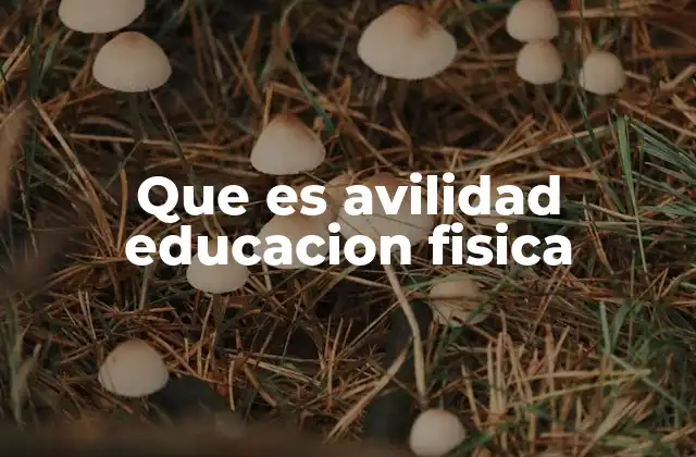 Que es Avilidad Educacion Fisica