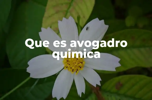 Que es Avogadro Quimica