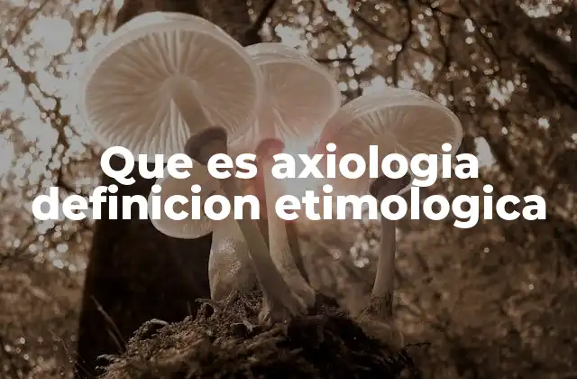 Que es Axiologia Definicion Etimologica