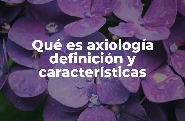 Qué es Axiología Definición y Características