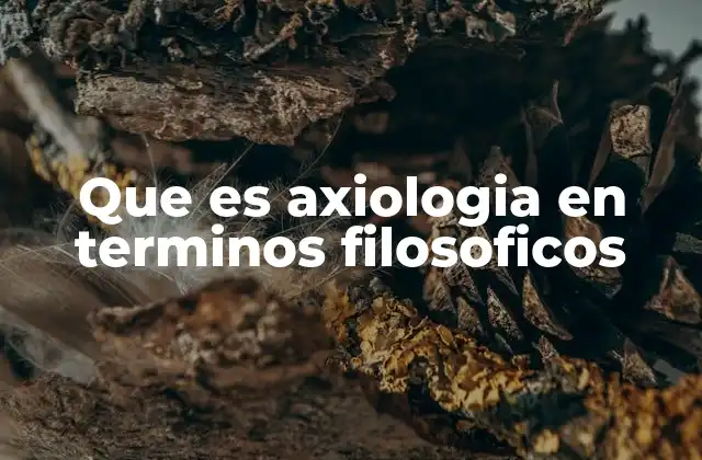 Que es Axiologia en Terminos Filosoficos