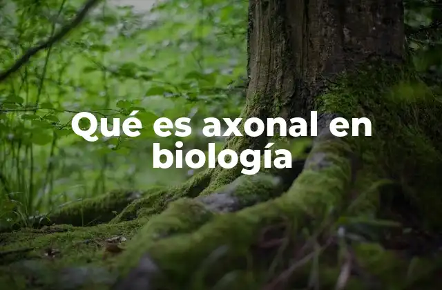 Qué es Axonal en Biología