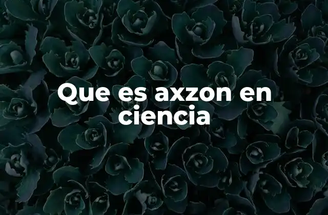 Que es Axzon en Ciencia