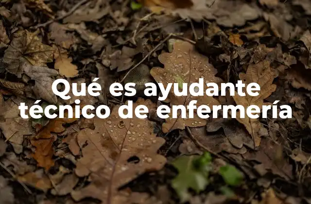 Qué es Ayudante Técnico de Enfermería