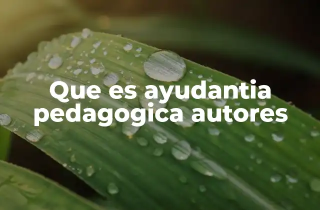 Que es Ayudantia Pedagogica Autores