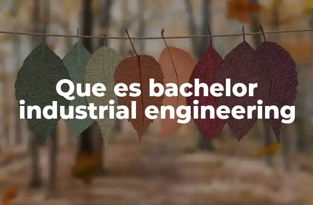 Que es Bachelor Industrial Engineering