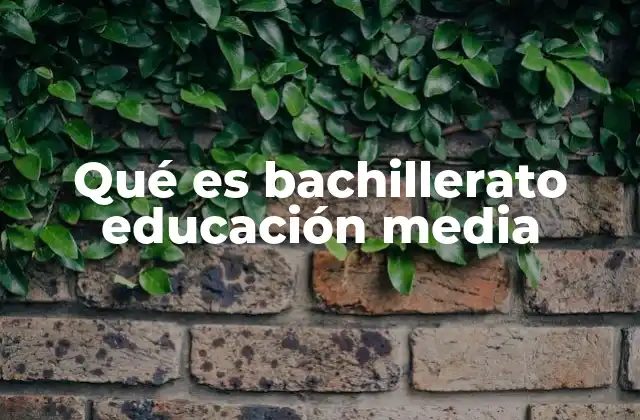 Qué es Bachillerato Educación Media
