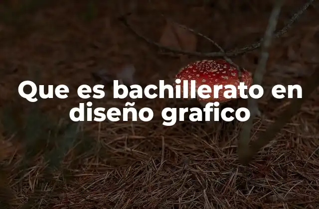 Que es Bachillerato en Diseño Grafico