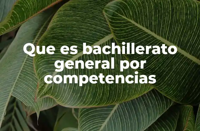 Que es Bachillerato General por Competencias