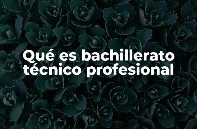 Qué es Bachillerato Técnico Profesional