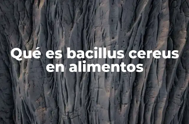 Qué es Bacillus Cereus en Alimentos