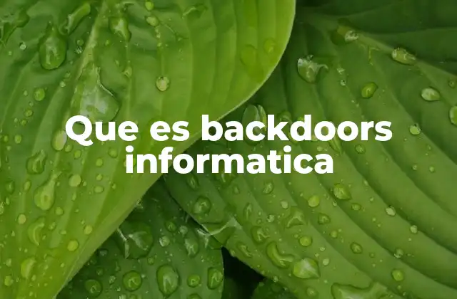 Que es Backdoors Informatica