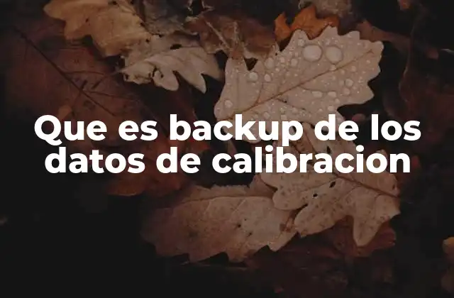 Que es Backup de los Datos de Calibracion