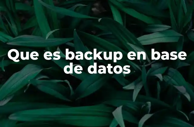Que es Backup en Base de Datos