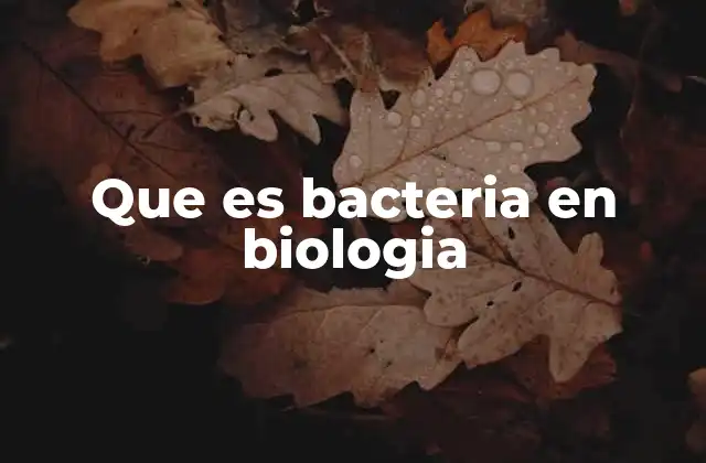 Que es Bacteria en Biologia