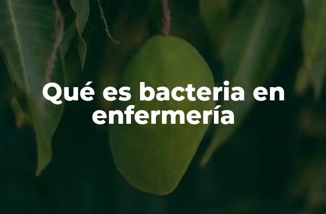 Qué es Bacteria en Enfermería