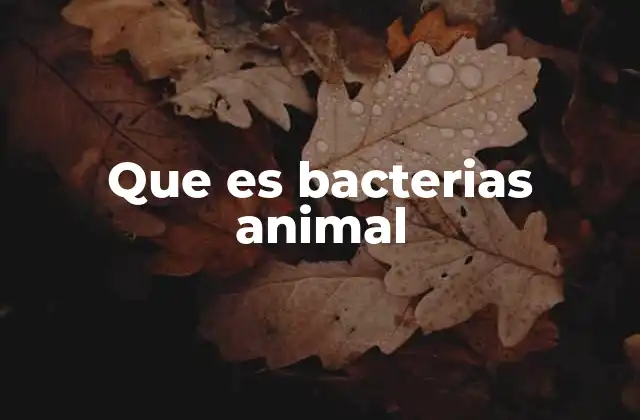 Que es Bacterias Animal