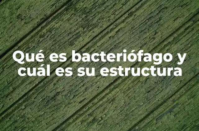 Qué es Bacteriófago y Cuál es Su Estructura