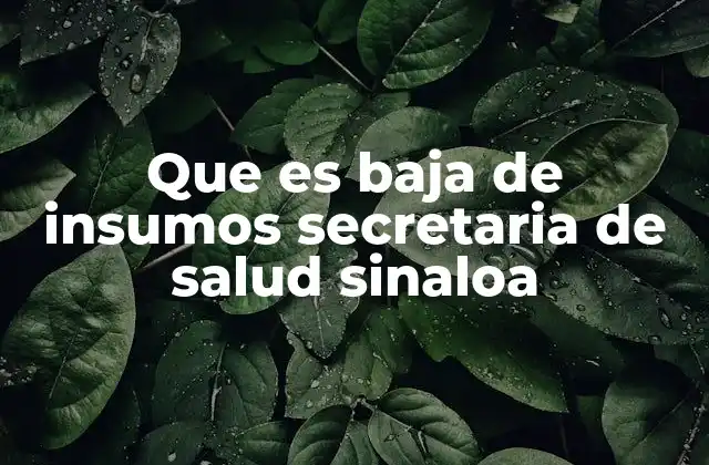 Que es Baja de Insumos Secretaria de Salud Sinaloa 2 El impacto de la escasez de materiales en el sistema de salud