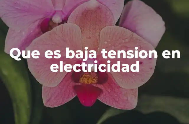 Que es Baja Tension en Electricidad