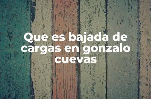 Que es Bajada de Cargas en Gonzalo Cuevas