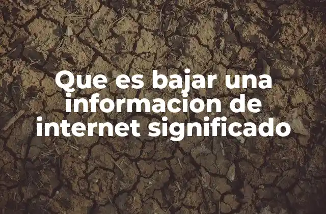 Que es Bajar una Informacion de Internet Significado