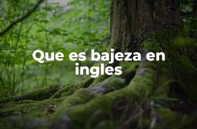 Que es Bajeza en Ingles