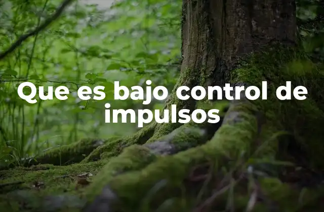 Que es bajo Control de Impulsos