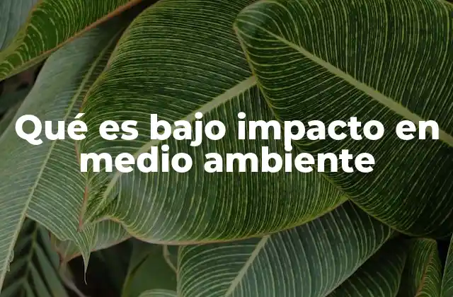 Qué es bajo Impacto en Medio Ambiente