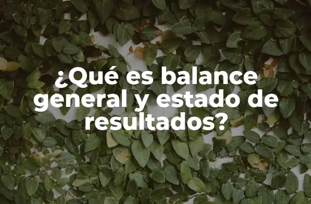 ¿qué es Balance General y Estado de Resultados?