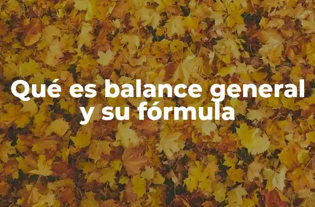 Qué es Balance General y Su Fórmula