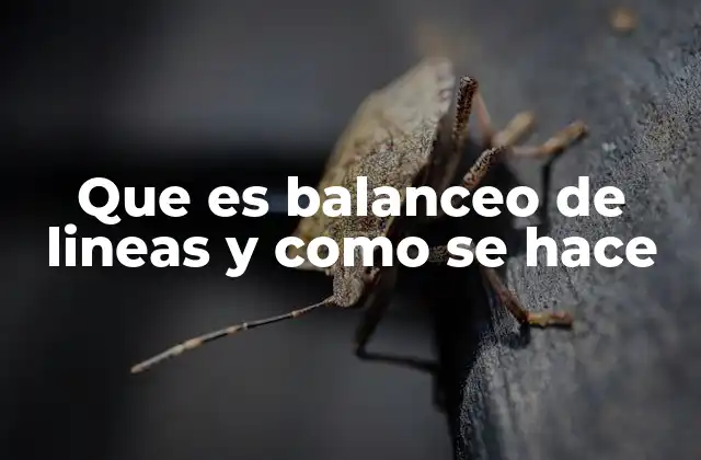 Que es Balanceo de Lineas y como Se Hace