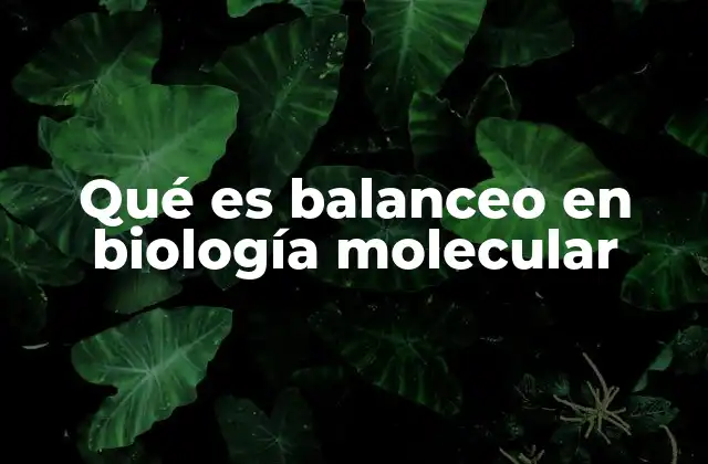 Qué es Balanceo en Biología Molecular