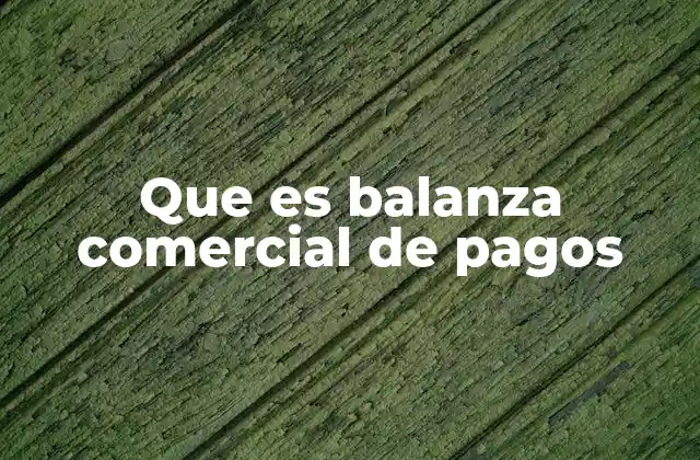Que es Balanza Comercial de Pagos