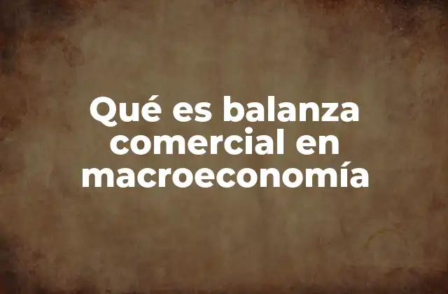 Qué es Balanza Comercial en Macroeconomía