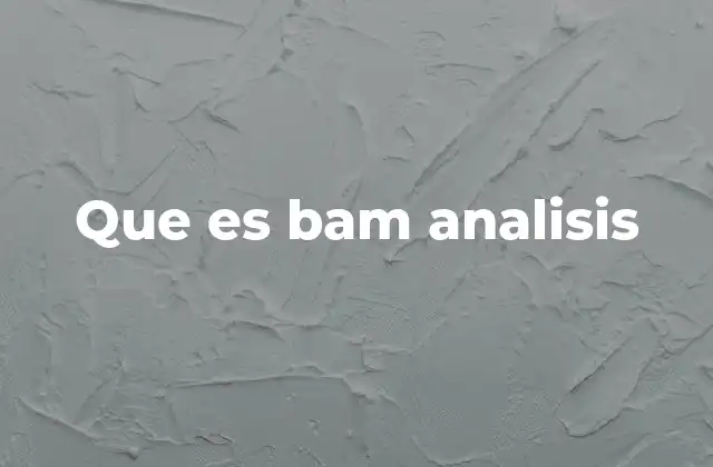 Que es Bam Analisis