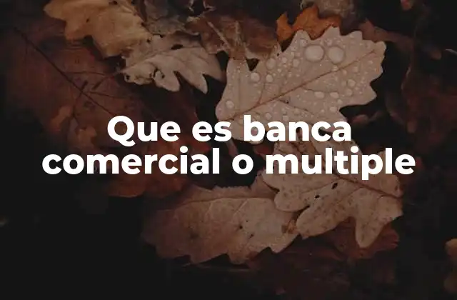 Que es Banca Comercial o Multiple